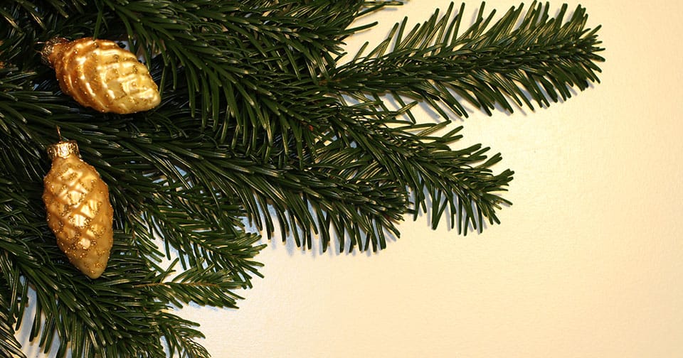 Julegran
